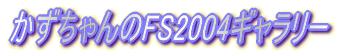 FS2004M[