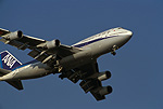 ANA747400D(1)sum.jpg