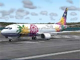 B737-400_SkyNet.jpg