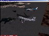 0003.jpg