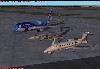 0004.jpg
