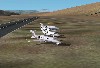 0004.jpg