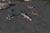 0003.jpg
