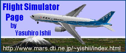 Flight Simulator Page