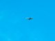 image0019