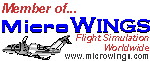 MicroWings